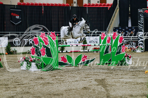 2025 - Haylee - Royal West - Wednesday October 22nd - 08355