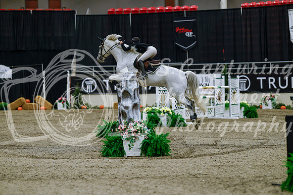 2025 - Haylee - Royal West - Wednesday October 22nd - 08412