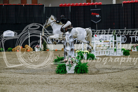 2025 - Haylee - Royal West - Wednesday October 22nd - 08416