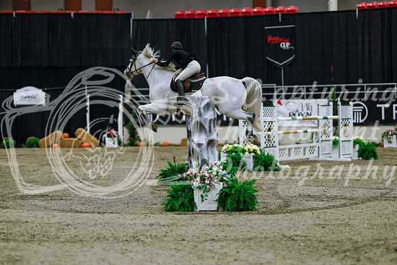 2025 - Haylee - Royal West - Wednesday October 22nd - 08417