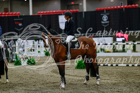 2025 - Haylee - Royal West - Wednesday October 22nd - 10627