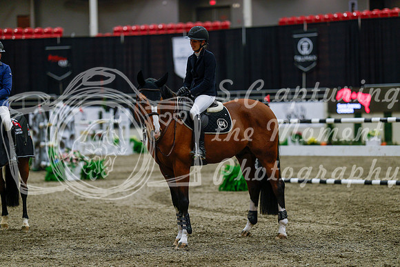 2025 - Haylee - Royal West - Wednesday October 22nd - 10632