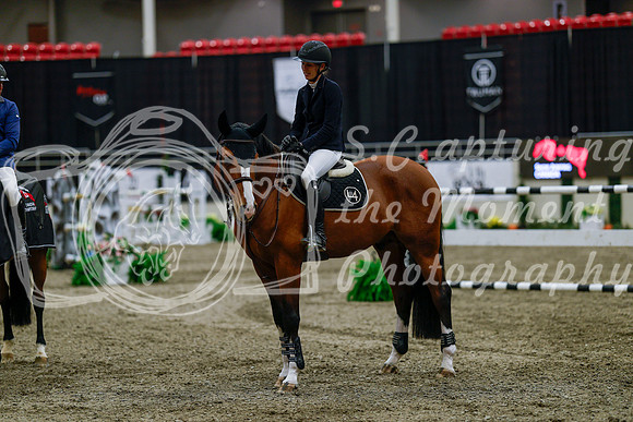 2025 - Haylee - Royal West - Wednesday October 22nd - 10633