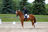 2025 - Dressage Festival - Saturday July 5th - 11184