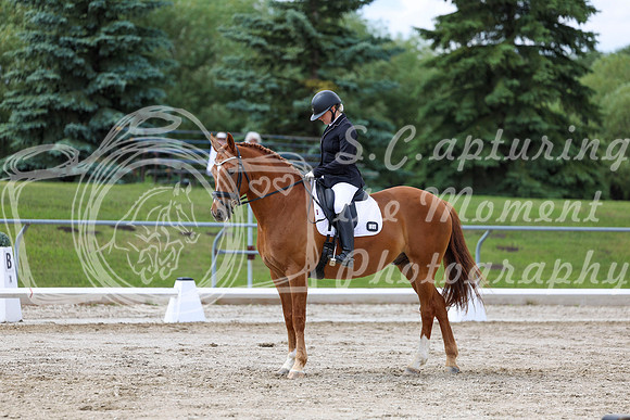 2025 - Dressage Festival - Saturday July 5th - 11184