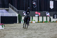2025 - Shea - Royal West - Thursday October 23rd - 00525