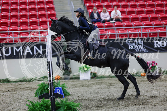 2025 - Shea - Royal West - Thursday October 23rd - 00538