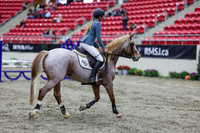 2025 - Shea - Royal West - Thursday October 23rd - 01213