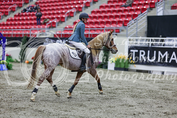 2025 - Shea - Royal West - Thursday October 23rd - 01214