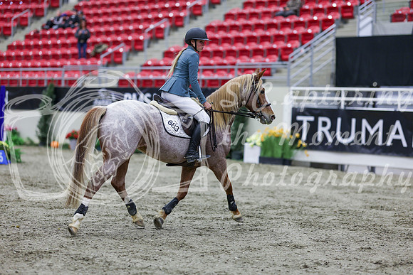 2025 - Shea - Royal West - Thursday October 23rd - 01215