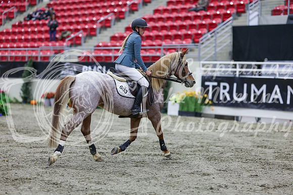2025 - Shea - Royal West - Thursday October 23rd - 01216