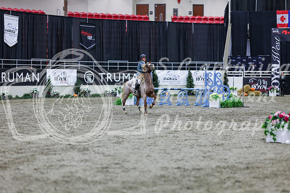 2025 - Shea - Royal West - Thursday October 23rd - 01236