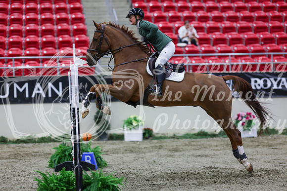 2025 - Shea - Royal West - Thursday October 23rd - 00908