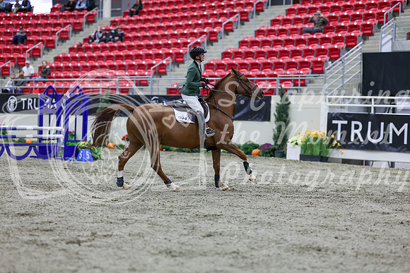 2025 - Shea - Royal West - Thursday October 23rd - 00915