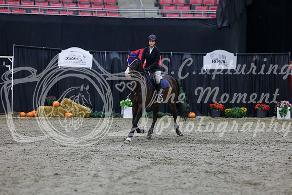 2025 - Shea - Royal West - Thursday October 23rd - 00133