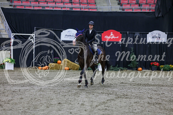 2025 - Shea - Royal West - Thursday October 23rd - 00134