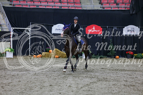 2025 - Shea - Royal West - Thursday October 23rd - 00135