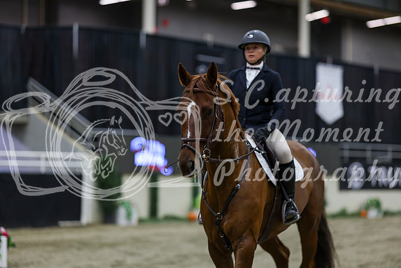 2025 - Shea - Royal West - Thursday October 23rd - 02113