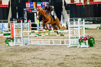 2025 - Haylee - Royal West - Thursday October 23rd - 04046