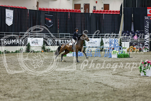 2025 - Shea - Royal West - Thursday October 23rd - 02582