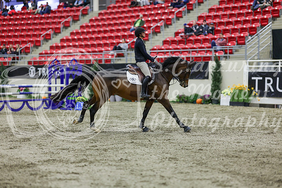 2025 - Shea - Royal West - Thursday October 23rd - 02585