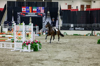 2025 - Shea - Royal West - Thursday October 23rd - 02329