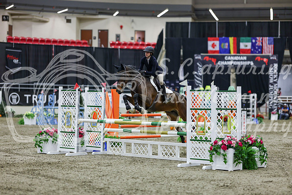 2025 - Shea - Royal West - Thursday October 23rd - 02333