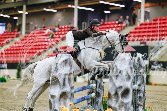 2025 - Haylee - Royal West - Thursday October 23rd - 03127