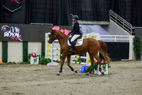2025 - Shea - Royal West - Thursday October 23rd - 01583