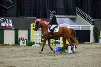 2025 - Shea - Royal West - Thursday October 23rd - 01582