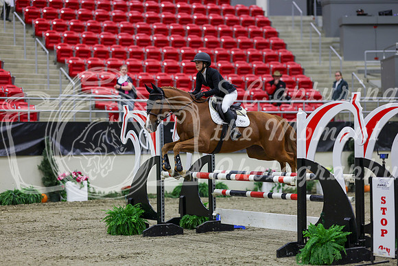 2025 - Shea - Royal West - Thursday October 23rd - 01599