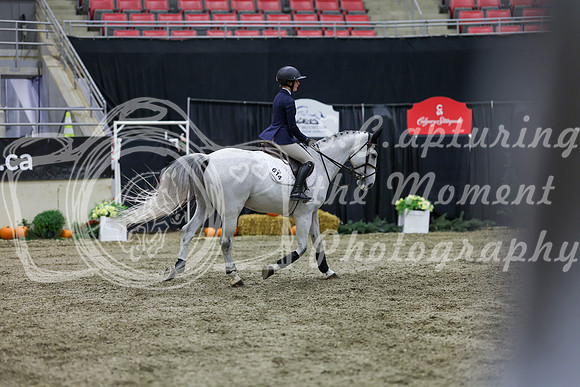 2025 - Shea - Royal West - Thursday October 23rd - 02441