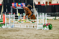 2025 - Haylee - Royal West - Thursday October 23rd - 03870