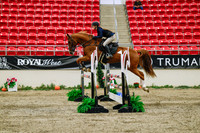 2025 - Haylee - Royal West - Thursday October 23rd - 03885