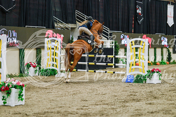 2025 - Haylee - Royal West - Thursday October 23rd - 03900