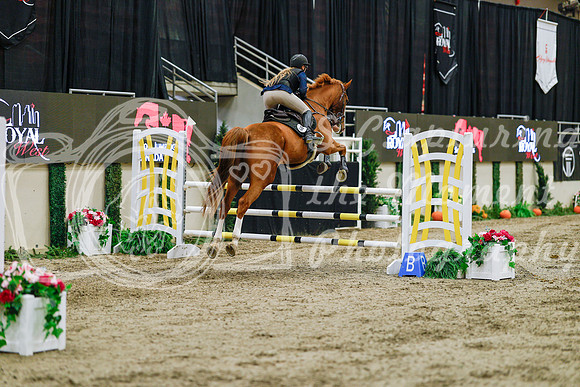 2025 - Haylee - Royal West - Thursday October 23rd - 03903