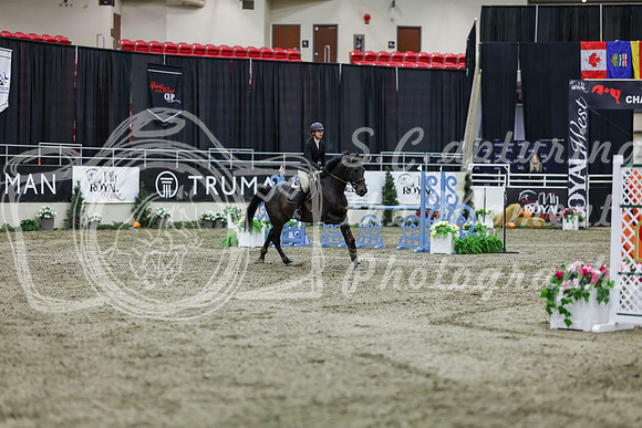 2025 - Shea - Royal West - Thursday October 23rd - 02200