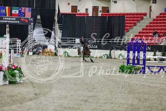 2025 - Shea - Royal West - Thursday October 23rd - 01457