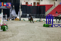 2025 - Shea - Royal West - Thursday October 23rd - 01458