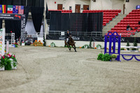 2025 - Shea - Royal West - Thursday October 23rd - 01459
