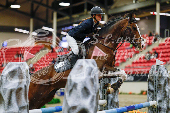 2025 - Haylee - Royal West - Thursday October 23rd - 03630