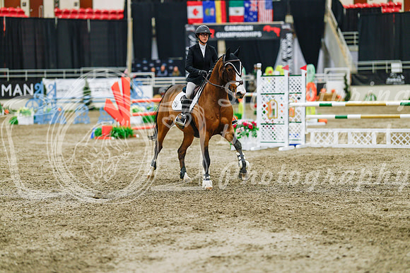 2025 - Haylee - Royal West - Thursday October 23rd - 05025