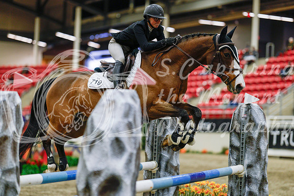 2025 - Haylee - Royal West - Thursday October 23rd - 05034