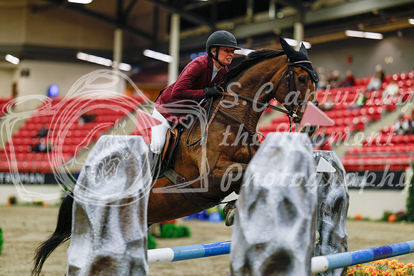 2025 - Haylee - Royal West - Thursday October 23rd - 03984