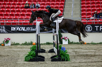 2025 - Shea - Royal West - Thursday October 23rd - 06124