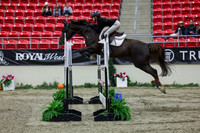 2025 - Shea - Royal West - Thursday October 23rd - 06123