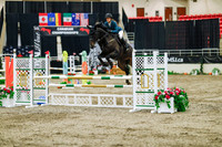 2025 - Haylee - Royal West - Thursday October 23rd - 04116