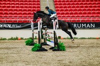 2025 - Haylee - Royal West - Thursday October 23rd - 04127