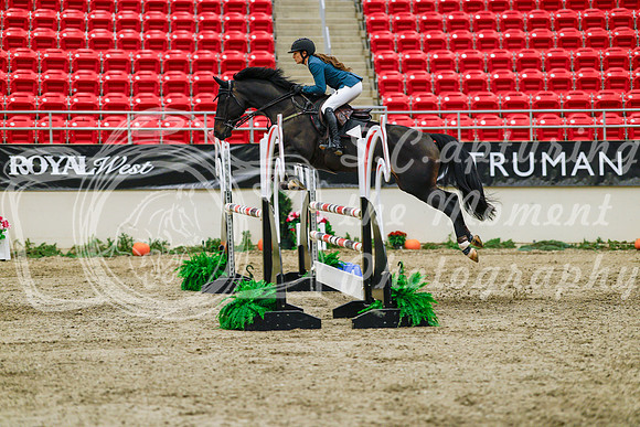 2025 - Haylee - Royal West - Thursday October 23rd - 04128