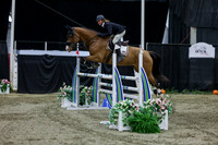 2025 - Shea - Royal West - Thursday October 23rd - 06458